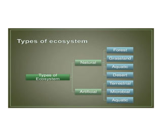Ecosphere Types Ecosystem types and characteristics | PPTX