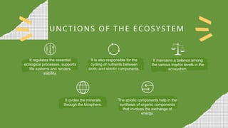 Ecosystem geography social science fun photo school project ...