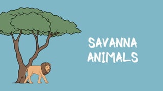 SAVANNA
ANIMALS
 