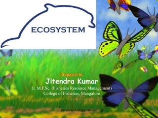 ECOSYSTEM

Jitendra Kumar
Jr. M.F.Sc. (Fisheries Resource Management)
College of Fisheries, Mangalore

jitenderanduat@gmail.com

 