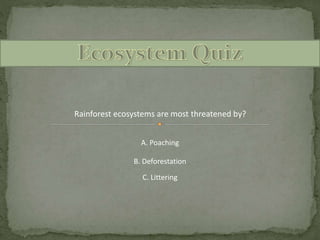 Rainforest ecosystems are most threatened by?
A. Poaching
C. Littering
B. Deforestation
 