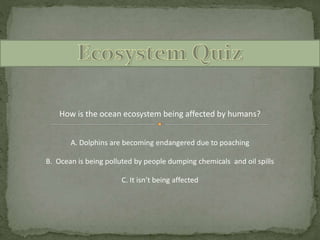 How is the ocean ecosystem being affected by humans?
A. Dolphins are becoming endangered due to poaching
C. It isn’t being affected
B. Ocean is being polluted by people dumping chemicals and oil spills
 