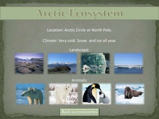 Location: Arctic Circle or North Pole.
Climate: Very cold. Snow and ice all year.
Landscape:
Animals:
Back to ecosystems
 