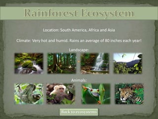 Location: South America, Africa and Asia
Climate: Very hot and humid. Rains an average of 80 inches each year!
Landscape:
Animals:
Back to ecosystems
 