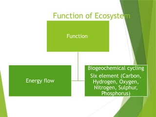 Comprehensive Overview of Ecosystems: Structure, Function, and Types | PPTX