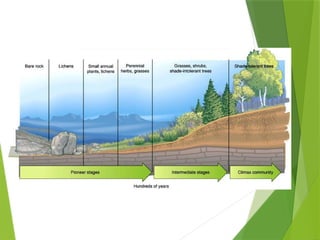 Comprehensive Overview of Ecosystems: Structure, Function, and Types | PPTX