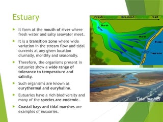 Comprehensive Overview of Ecosystems: Structure, Function, and Types | PPTX