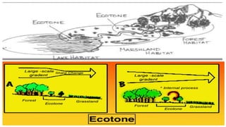 ecosystem open elective.pptx