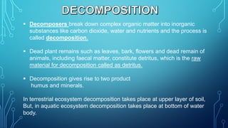 ECOSYSTEM pdf ..pdf