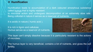 ECOSYSTEM pdf ..pdf