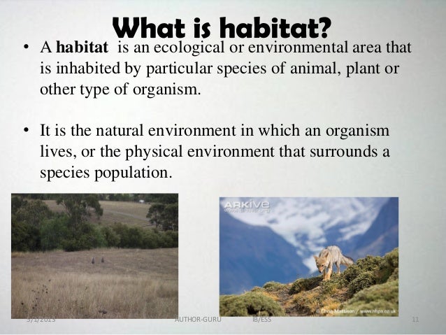ecosystem powerpoint 1 what is ecology powerpoint