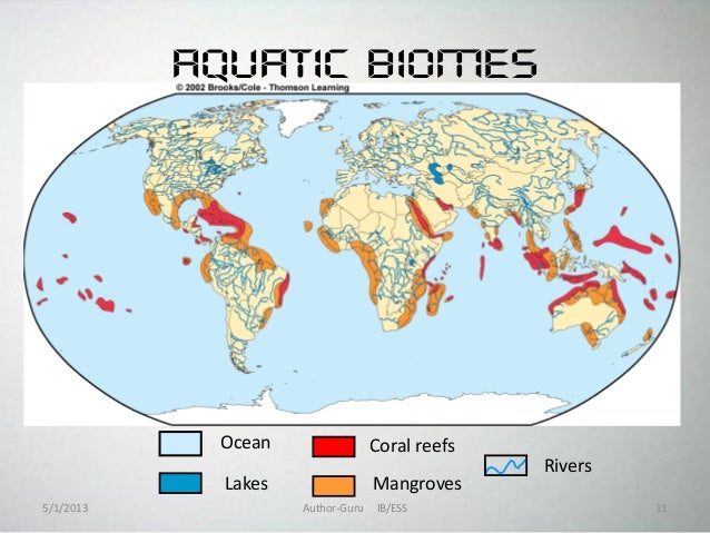 Ecosystem powerpoint 2