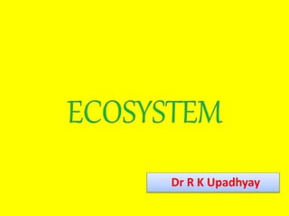 Dr R K Upadhyay
 