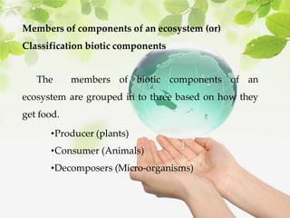 EcoSystem.pdf