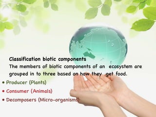 Classification biotic components
The members of biotic components of an ecosystem are
grouped in to three based on how they get food.
• Producer (Plants)
• Consumer (Animals)
• Decomposers (Micro-organisms)
 