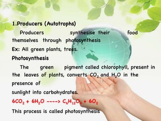 1.Producers (Autotrophs)
Producers synthesise their food
themselves through photosynthesis
Ex: All green plants, trees.
Photosynthesis
The green pigment called chlorophyll, present in
the leaves of plants, converts CO2 and H2O in the
presence of
sunlight into carbohydrates.
6CO2 + 6H2O ----> C6H12O6 + 6O2
This process is called photosynthesis
 