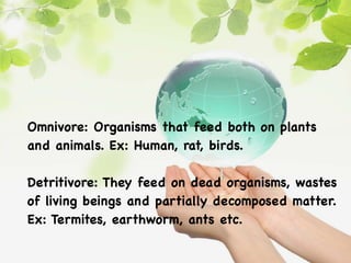 Omnivore: Organisms that feed both on plants
and animals. Ex: Human, rat, birds.
Detritivore: They feed on dead organisms, wastes
of living beings and partially decomposed matter.
Ex: Termites, earthworm, ants etc.
 