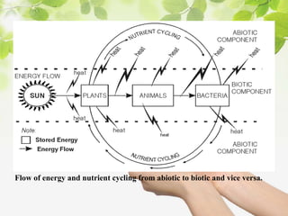 Flow of energy and nutrient cycling from abiotic to biotic and vice versa.
 