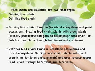 Food chains are classified into two main types
Grazing food chain
Detritus food chain
• Grazing food chain: Found in Grassland ecosystems and pond
ecosystems. Grazing food chain starts with green plants
(primary producers) and goes to decomposer food chain or
detritus food chain through herbivores and carnivores.
• Detritus food chain: Found in Grassland ecosystems and
forest ecosystems. Detritus food chain starts with dead
organic matter (plants and animals) and goes to decomposer
food chain through herbivores and carnivores.
 