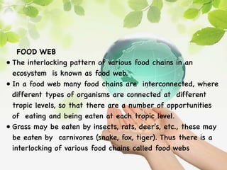 FOOD WEB
• The interlocking pattern of various food chains in an
ecosystem is known as food web.
• In a food web many food chains are interconnected, where
different types of organisms are connected at different
tropic levels, so that there are a number of opportunities
of eating and being eaten at each tropic level.
• Grass may be eaten by insects, rats, deer's, etc., these may
be eaten by carnivores (snake, fox, tiger). Thus there is a
interlocking of various food chains called food webs
 