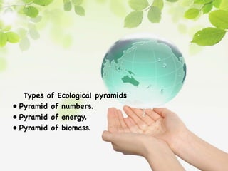 Types of Ecological pyramids
• Pyramid of numbers.
• Pyramid of energy.
• Pyramid of biomass.
 
