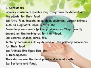 2. Consumers
Primary consumers (herbivores): They directly depend on
the plants for their food.
Ex: Ants, flies, insects, mice, deer, squirrels. Larger animals
such as Elephants, Deer, Giraffe etc.
Secondary consumers (primary carnivores):They directly
depend on the herbivores for their food.
Ex: Lizards, snakes, birds, fox.
Tertiary consumers :They depend on the primary carnivores
for their food.
Ex: Animals like tiger, lion, etc.,
3. Decomposers
They decompose the dead plant and animal matter.
Ex: Bacteria and fungi.
 