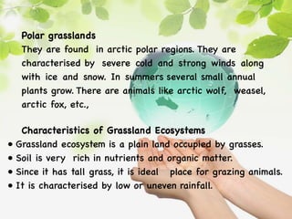 Polar grasslands
They are found in arctic polar regions. They are
characterised by severe cold and strong winds along
with ice and snow. In summers several small annual
plants grow. There are animals like arctic wolf, weasel,
arctic fox, etc.,
Characteristics of Grassland Ecosystems
• Grassland ecosystem is a plain land occupied by grasses.
• Soil is very rich in nutrients and organic matter.
• Since it has tall grass, it is ideal place for grazing animals.
• It is characterised by low or uneven rainfall.
 