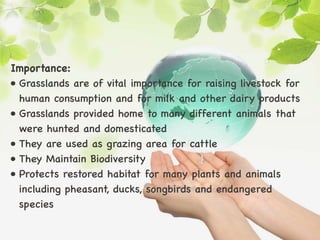 Importance:
• Grasslands are of vital importance for raising livestock for
human consumption and for milk and other dairy products
• Grasslands provided home to many different animals that
were hunted and domesticated
• They are used as grazing area for cattle
• They Maintain Biodiversity
• Protects restored habitat for many plants and animals
including pheasant, ducks, songbirds and endangered
species
 