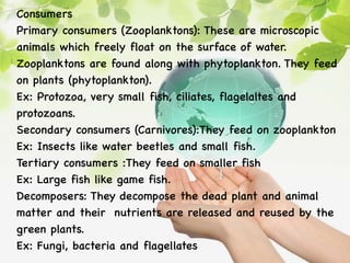 Consumers
Primary consumers (Zooplanktons): These are microscopic
animals which freely float on the surface of water.
Zooplanktons are found along with phytoplankton. They feed
on plants (phytoplankton).
Ex: Protozoa, very small fish, ciliates, flagelaltes and
protozoans.
Secondary consumers (Carnivores):They feed on zooplankton
Ex: Insects like water beetles and small fish.
Tertiary consumers :They feed on smaller fish
Ex: Large fish like game fish.
Decomposers: They decompose the dead plant and animal
matter and their nutrients are released and reused by the
green plants.
Ex: Fungi, bacteria and flagellates
 