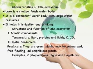 Characteristics of lake ecosystem
• Lake is a shallow fresh water body;
• It is a permanent water body with large Water
resources.
• It helps in irrigation and drinking.
Structure and function of lake ecosystem
I. Abiotic components
Temperature, light, proteins and lipids, O2 CO2
II. Biotic Consumers
Producers: They are green plants, may. be submerged,
free floating ad amphibious plants.
Examples: Phytoplanktons, algae and flagellates.
 