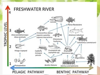 V.S.Saravana Mani, Head &
AP/ Chemistry, AEC
Salem
 