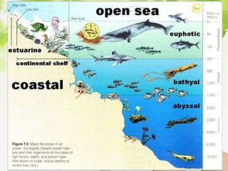 V.S.Saravana Mani, Head &
AP/ Chemistry, AEC
Salem
 