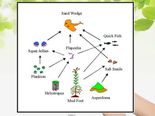 V.S.Saravana Mani, Head &
AP/ Chemistry, AEC
Salem
 
