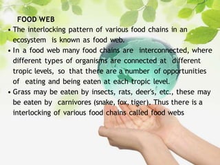Ecosystem PPT_735_compressed.pptx