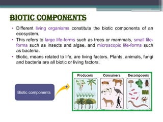 Biotic Components
• Different living organisms constitute the biotic components of an
ecosystem.
• This refers to large life-forms such as trees or mammals, small life-
forms such as insects and algae, and microscopic life-forms such
as bacteria.
• Biotic, means related to life, are living factors. Plants, animals, fungi
and bacteria are all biotic or living factors.
Biotic components
 