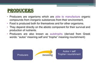 Producers
• Producers are organisms which are able to manufacture organic
compounds from inorganic substances from their environment.
• Food is produced both for themselves and for other organisms.
• They depend directly on the abiotic component for their survival and
production of nutrients.
• Producers are also known as autotrophs (derived from Greek
words: “autos” meaning self and “trophe” meaning nourishment)
Autos = self
Trophe= nourishment
Producers meaning
 