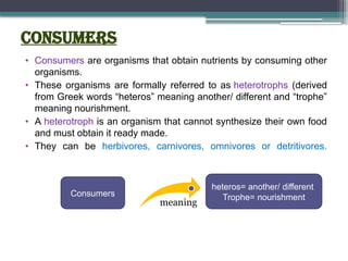 Consumers
• Consumers are organisms that obtain nutrients by consuming other
organisms.
• These organisms are formally referred to as heterotrophs (derived
from Greek words “heteros” meaning another/ different and “trophe”
meaning nourishment.
• A heterotroph is an organism that cannot synthesize their own food
and must obtain it ready made.
• They can be herbivores, carnivores, omnivores or detritivores.
Consumers
heteros= another/ different
Trophe= nourishment
meaning
 