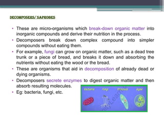 Decomposers/ Saprobes
• These are micro-organisms which break-down organic matter into
inorganic compounds and derive their nutrition in the process.
• Decomposers break down complex compound into simpler
compounds without eating them.
• For example, fungi can grow on organic matter, such as a dead tree
trunk or a piece of bread, and breaks it down and absorbing the
nutrients without eating the wood or the bread.
• These are organisms that aid in decomposition of already dead or
dying organisms.
• Decomposers secrete enzymes to digest organic matter and then
absorb resulting molecules.
• Eg: bacteria, fungi, etc.
 