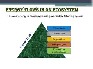 ENERGY FLOWS IN AN ECOSYSTEM
• Flow of energy in an ecosystem is governed by following cycles:
Water Cycle
Carbon Cycle
Oxygen Cycle
Nitrogen Cycle
Energy Flow
(unidirectional)
E
N
E
R
G
Y
F
L
O
W
 
