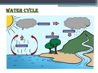 Water cycle
condensation
precipitation
Transpiration
Evaporation
 