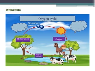 Oxygen Cycle
Oxygen cycle
Oxygen
Carbon
dioxide
Oxygen
Photosynthesi
s
 
