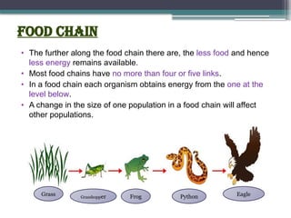 Food chain
• The further along the food chain there are, the less food and hence
less energy remains available.
• Most food chains have no more than four or five links.
• In a food chain each organism obtains energy from the one at the
level below.
• A change in the size of one population in a food chain will affect
other populations.
Grass Grasshopper Frog Python Eagle
 