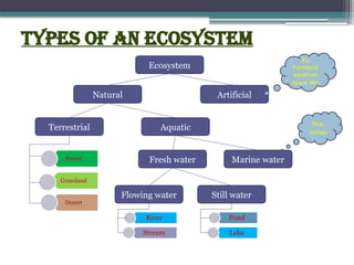 types of an ecosystem
Ecosystem
Natural Artificial
Terrestrial Aquatic
Forest
Grassland
Desert
River
Stream
Marine water
Fresh water
Still water
Flowing water
Pond
Lake
Ex-
Farmland,
aquarium,
space etc.
Sea,
ocean
 
