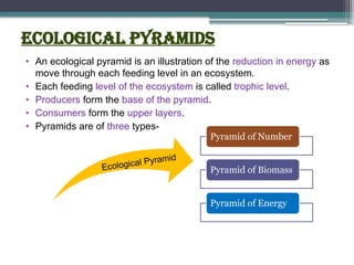Ecological pyramids
• An ecological pyramid is an illustration of the reduction in energy as
move through each feeding level in an ecosystem.
• Each feeding level of the ecosystem is called trophic level.
• Producers form the base of the pyramid.
• Consumers form the upper layers.
• Pyramids are of three types-
Ecological Pyramid
Pyramid of Number
Pyramid of Biomass
Pyramid of Energy
 
