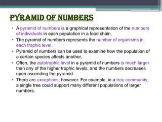 Pyramid of numbers
• A pyramid of numbers is a graphical representation of the numbers
of individuals in each population in a food chain.
• The pyramid of numbers represents the number of organisms in
each trophic level.
• Pyramid of numbers can be used to examine how the population of
a certain species affects another.
• Often, the autotrophic level in a pyramid of numbers is much larger
than any of the higher trophic levels, and the numbers decreases
upon ascending the pyramid.
• There are exceptions, however. For example, in a tree community,
a single tree could support many different populations of larger
numbers.
 