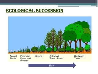 Ecological succession
Time
 