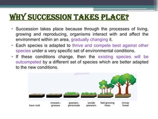 Why succession takes place?
• Succession takes place because through the processes of living,
growing and reproducing, organisms interact with and affect the
environment within an area, gradually changing it.
• Each species is adapted to thrive and compete best against other
species under a very specific set of environmental conditions.
• If these conditions change, then the existing species will be
outcompeted by a different set of species which are better adapted
to the new conditions.
 