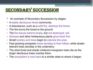 Secondary Succession
• An example of Secondary Succession by stages:
• A stable deciduous forest community
• A disturbance, such as a wild fire, destroys the forest
• The fire burns the forest to the ground
• The fire leaves behind empty, but not destroyed, soil
• Grasses and other herbaceous plants grow back first
• Small bushes and trees begin to colonize the area
• Fast growing evergreen trees develop to their fullest, while shade-
tolerant trees develop in the understory
• The short-lived and shade intolerant evergreen trees die as the
larger deciduous trees overtop them.
• The ecosystem is now back to a similar state to where it began.
 
