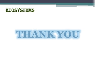 ecosystems
THANK YOU
 