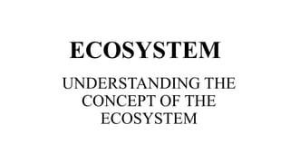ECOSYSTEM
UNDERSTANDING THE
CONCEPT OF THE
ECOSYSTEM
 